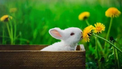 九游(jiuyou)官方网站-青训成功经验在多地推广，地方青训体系不断优化升级，青训训练