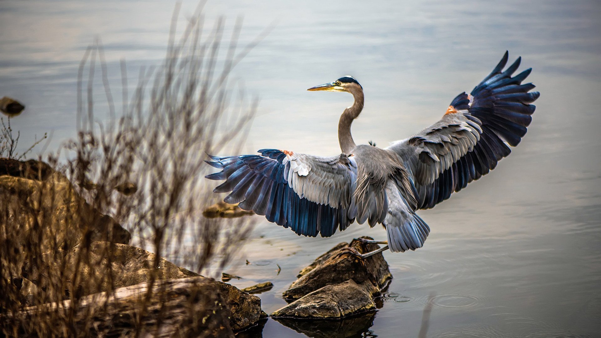 九游(jiuyou)官方网站-拉希米在巴黎奥运会男足比赛中成为最佳射手，拉希米在巴黎奥运会男足比赛中成为最佳射手吗