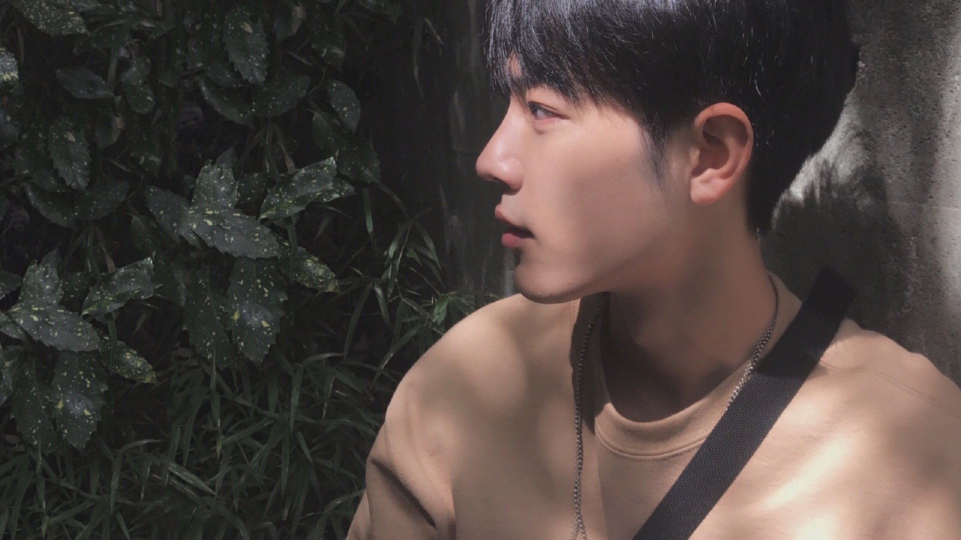 JiuyouAPP下载-比利时游泳选手在男子100米蝶泳比赛中获得第八名，100蝶泳世界纪录视频