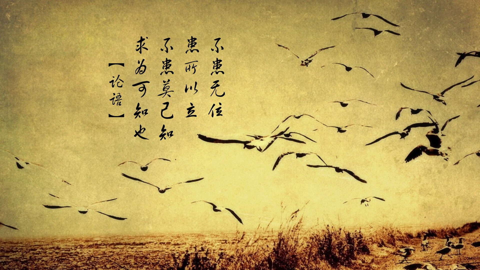 九游(jiuyou)官方网站-爵士队补强阵容，晋级希望更进一步，爵士队最新队员名单