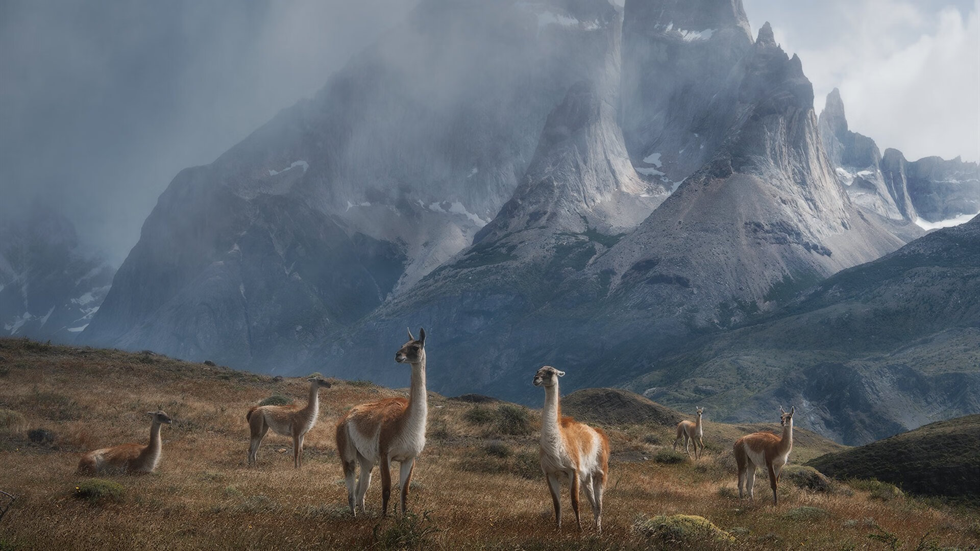 九游娱乐APP-篮球裁判员培训纳入最新执法规则，篮球裁判员培训纳入最新执法规则是什么