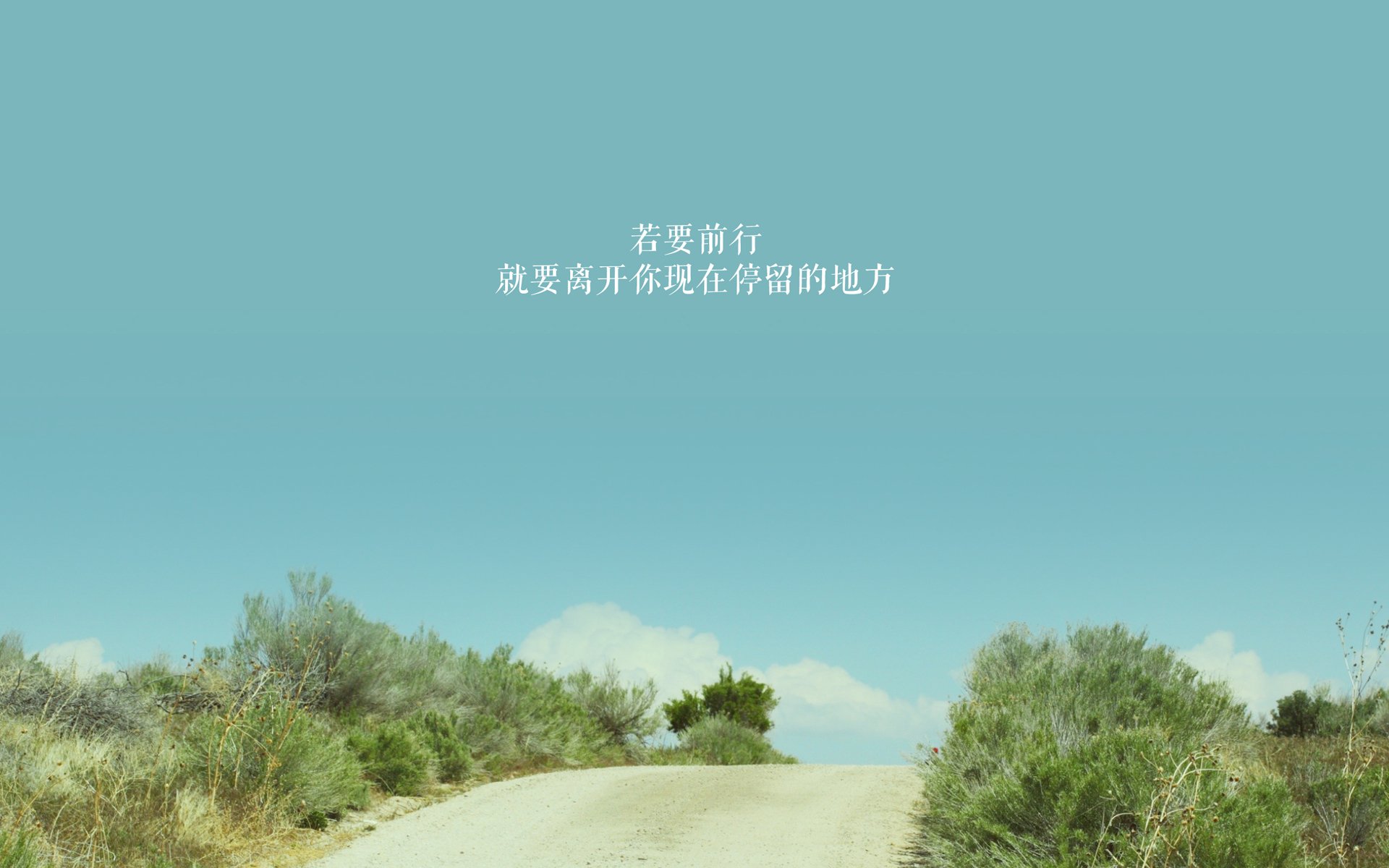 多特蒙德在主场击败对手,积分榜上升至第二位,多特蒙德比赛结果