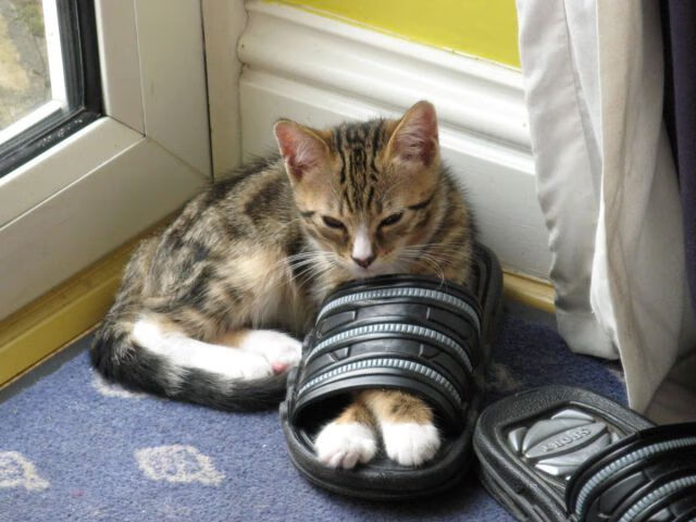 九游游戏中心官网-战术灵活度是否成为新一代主帅的标配技能，灵活的战术战略