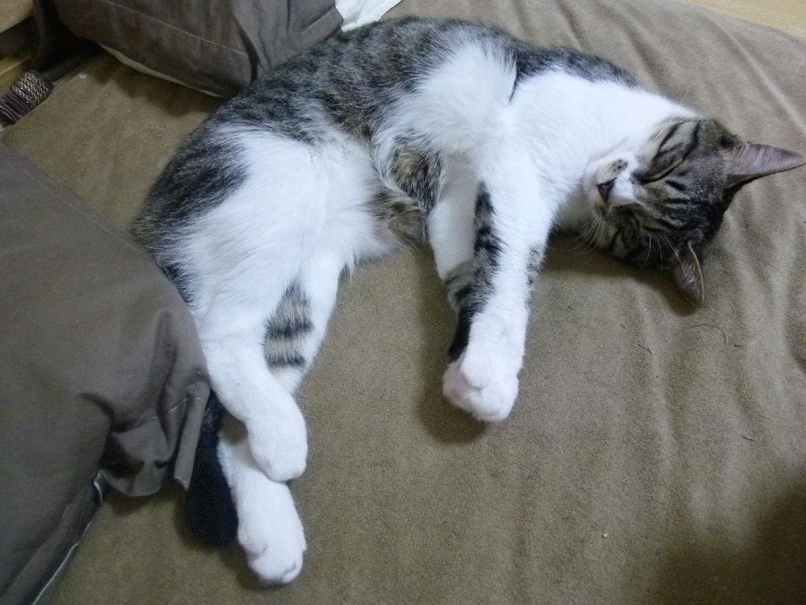 九游游戏中心-期待激烈！国内足球赛场精彩纷呈，中国的足球赛事