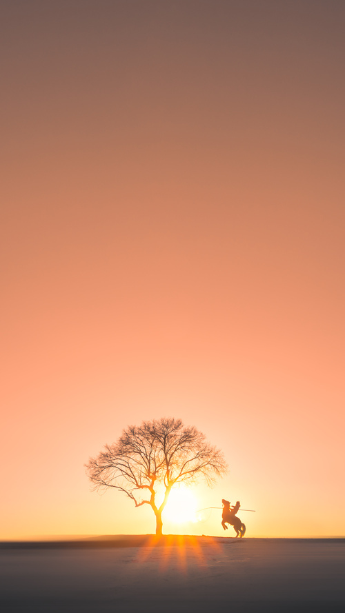 九游（jiuyou.com）游戏-沃尔夫斯堡中场策划离队，引发球迷担忧，沃尔夫斯堡最新阵容