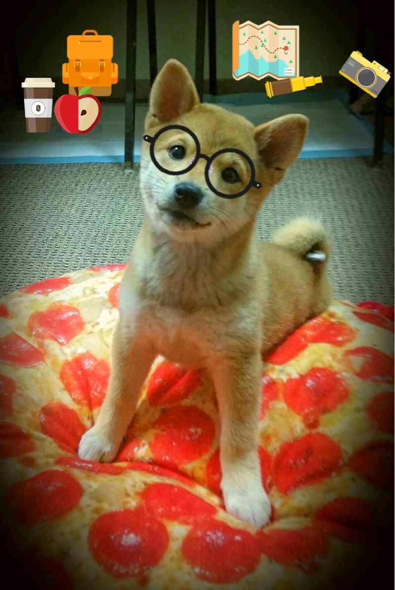 九游app官网下载-王者荣耀职业赛首次公开体能测试结果，王者荣耀职业选手测试