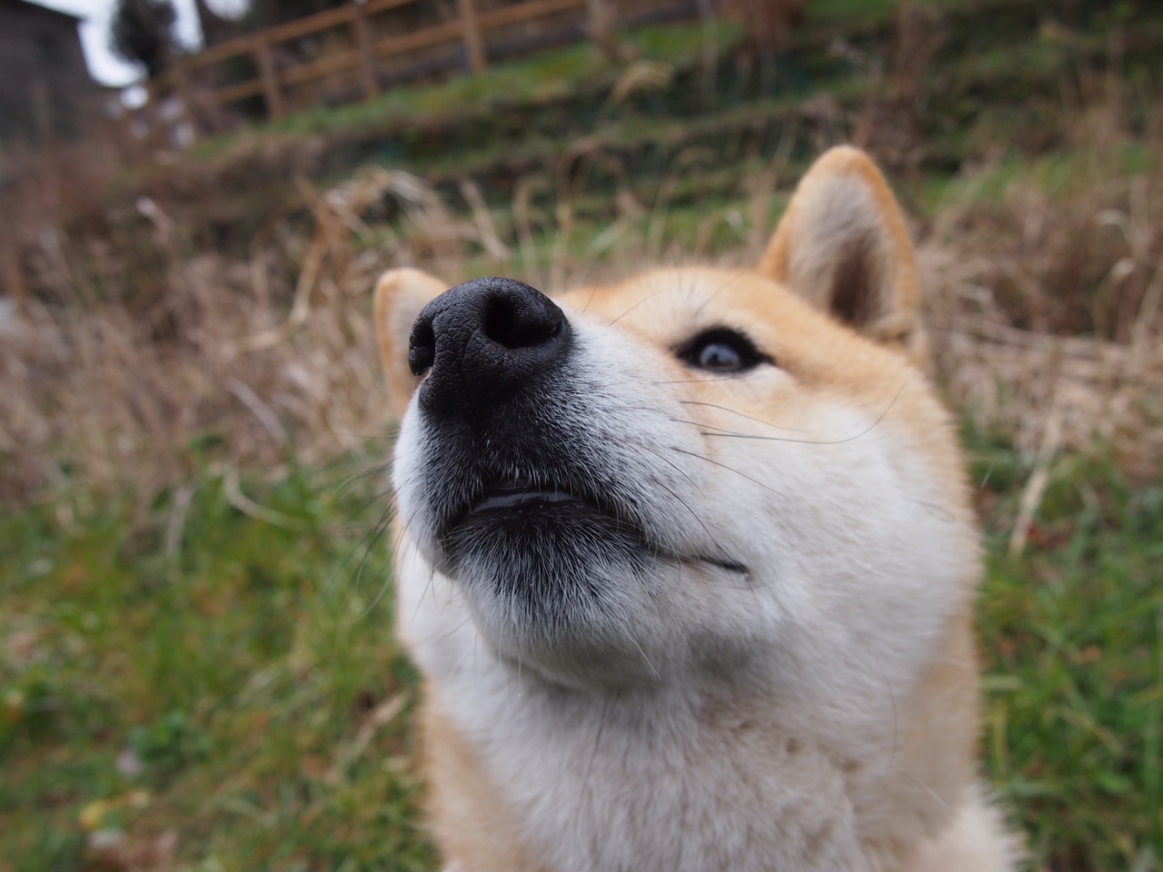 美因茨球队客场战胜对手,积分榜上升,美因茨现主帅是谁