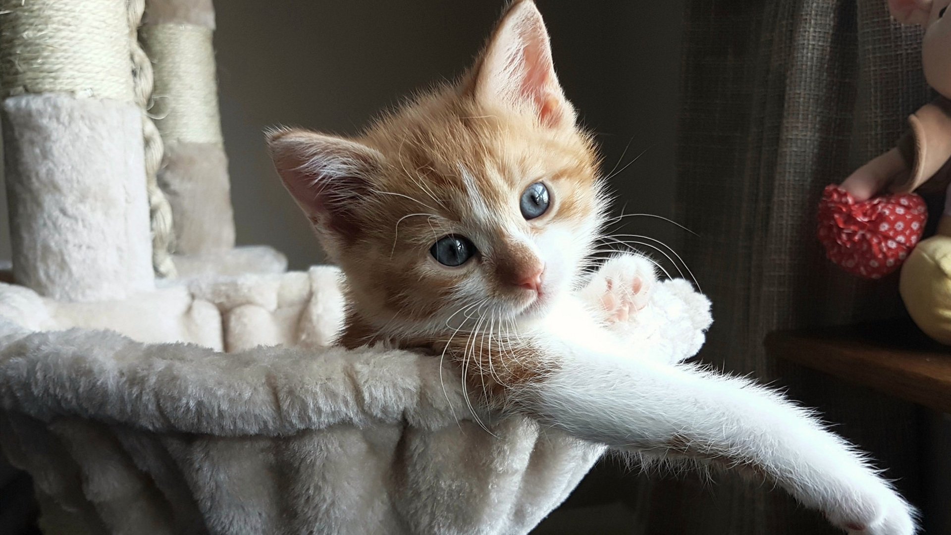 九游（jiuyou.com）游戏-职业篮球俱乐部市场推广方法，篮球俱乐部营销策略