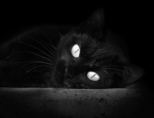 九游下载安装-队员比赛实现重要突破，实力增强，比赛中队员人数多少符合要求