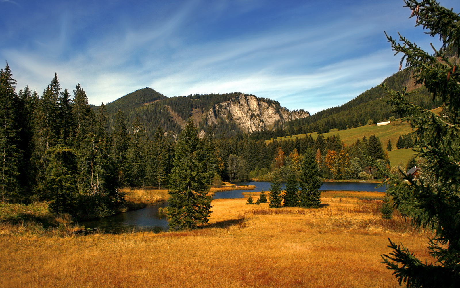 韩国星际争霸赛事规则更新,韩国星际争霸职业联赛2020