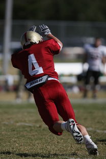 九游sports-中超球队年度替补球员战术执行效率统计，中超替补年薪