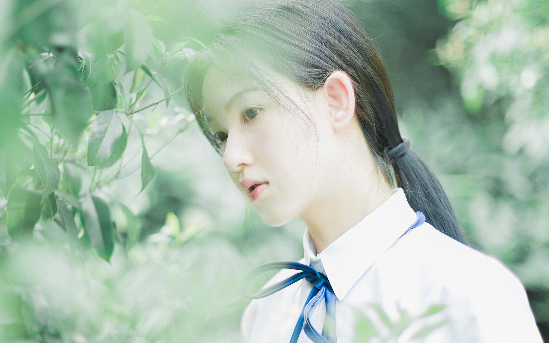 “2025世界运动会：运动舞蹈赛场，金牛区城北体育馆的舞者将如何舞出精彩？”