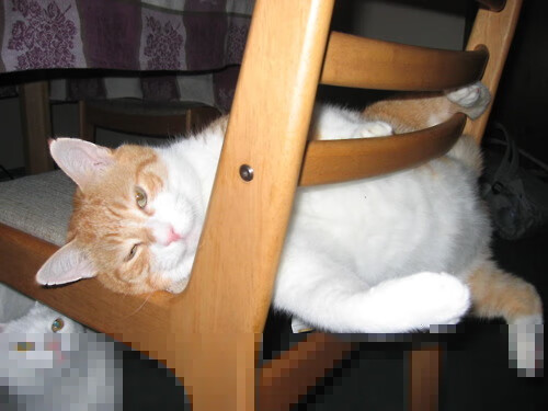 九游官网pc-俱乐部新赛季票务方案出炉设置多种套餐方便不同群体选择，俱乐部赛季奖励