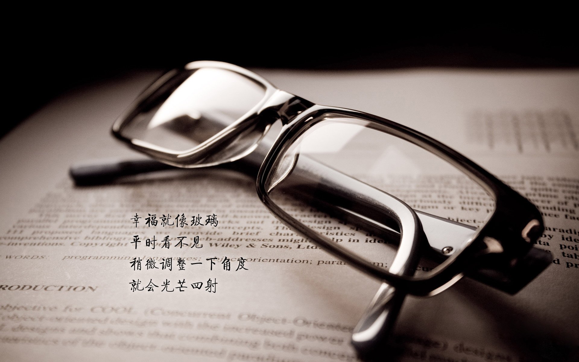 国际马拉松赛事报名最新情况，国际马拉松赛跑赛程