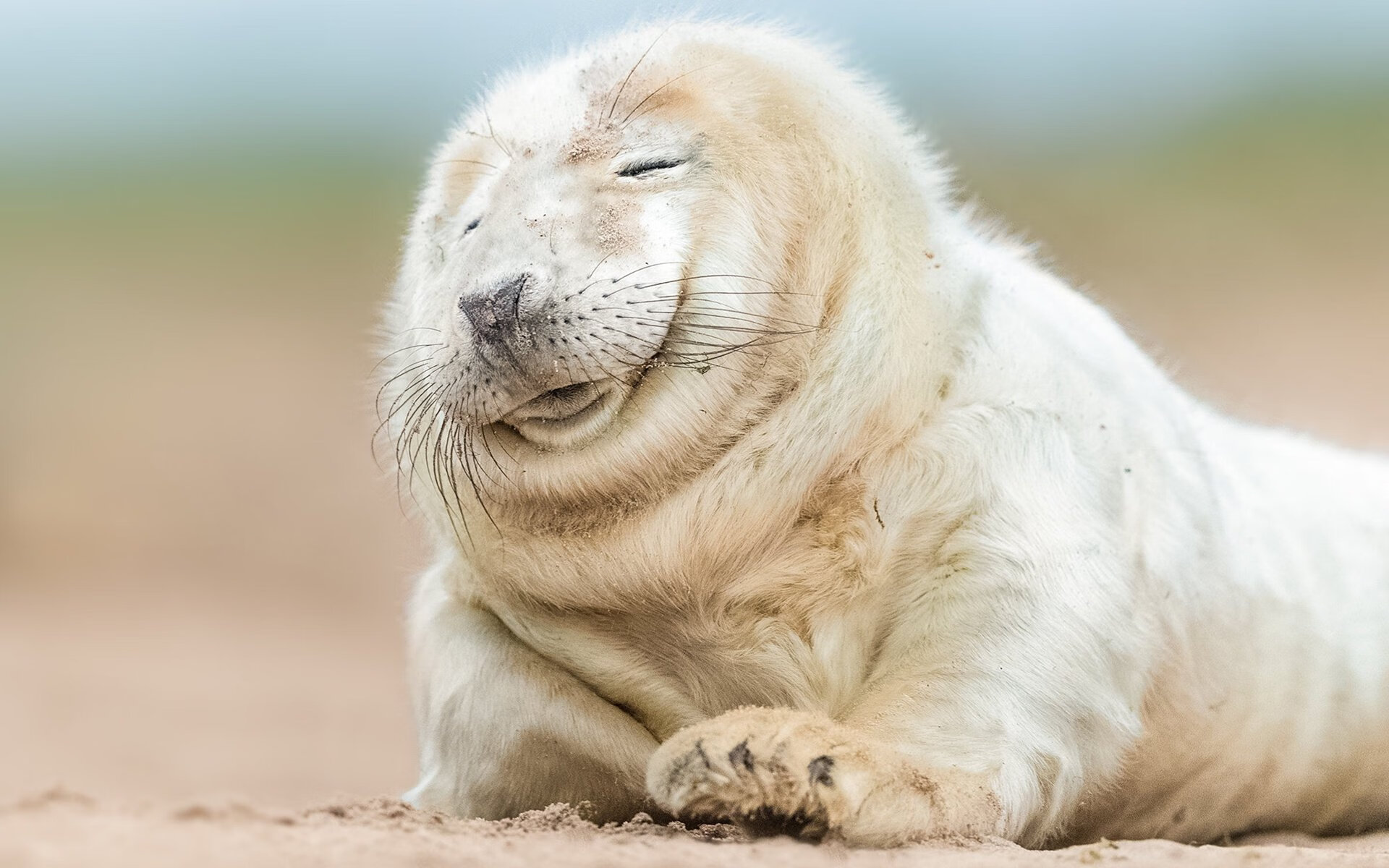 森林狼教练安排趣味游戏放松球员紧张情绪,球队森林狼