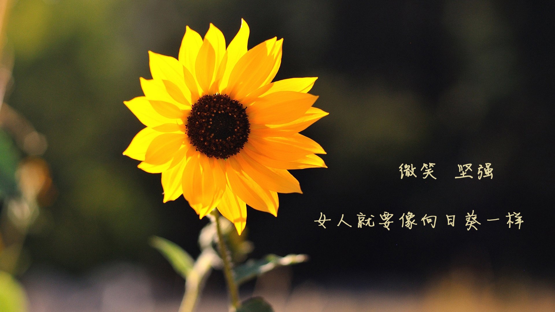 男子国家队尝试分组战术演练提高临场适应力