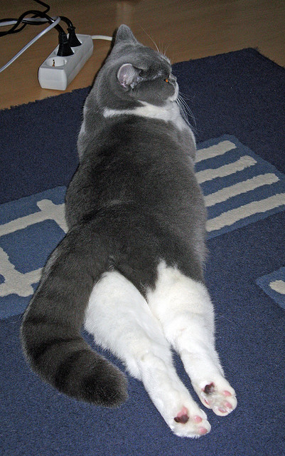 九游娱乐-西甲高光时刻：精彩进球让人叹服！，2021西甲进球