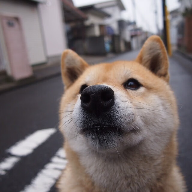 九游网游官网-阿森纳青训持续崭露头角，未来之星不断涌现