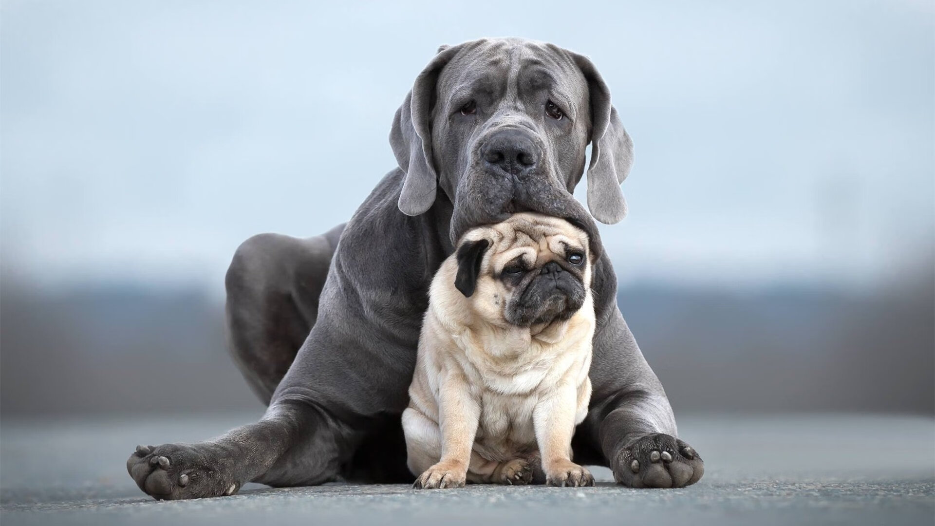 阿根廷年轻力量崭露头角,未来可期待